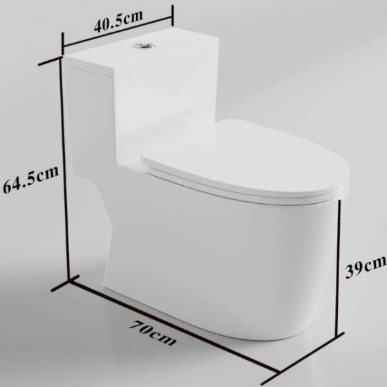 Bồn cầu một khối 8801