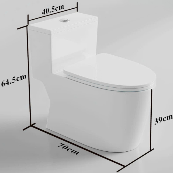 Bồn cầu một khối 8801