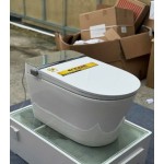 bệt điện tử GS-6903